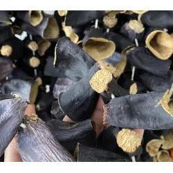 Patlıcan Dolmalık 1 bağ  Yeni Sezon